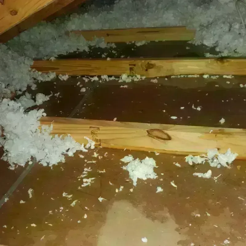 Attic Water Damage in Saint Johns, AZ