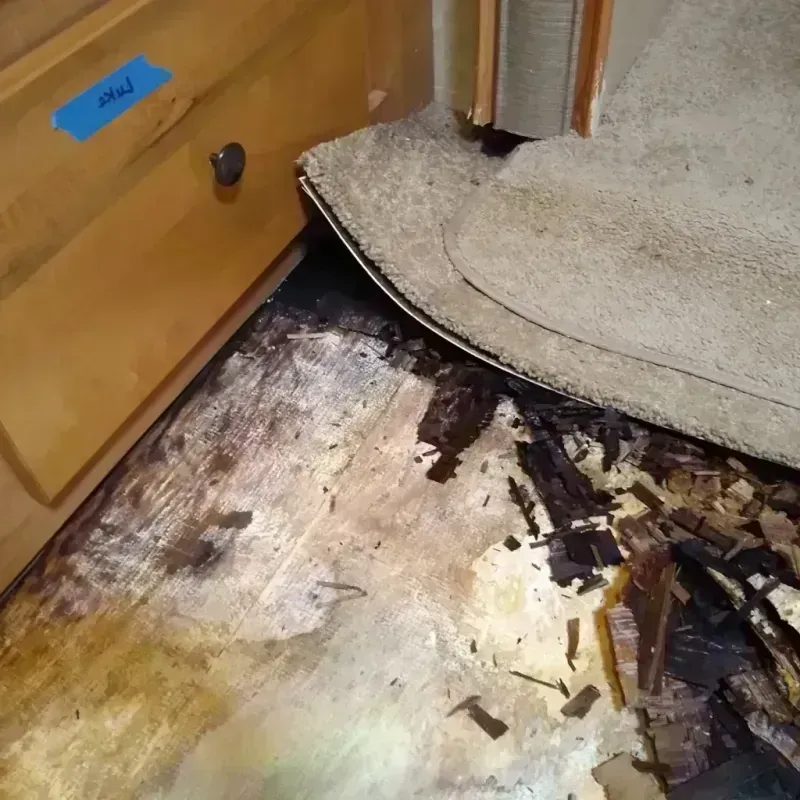 Wood Floor Water Damage in Saint Johns, AZ